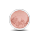 Rosa Flirt Blush